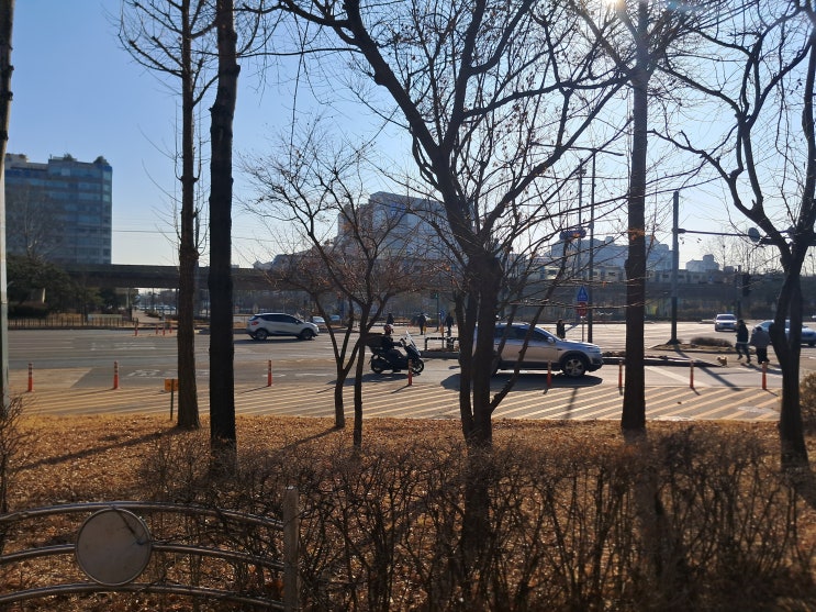  확실한 판단의 광진구 손해사정사