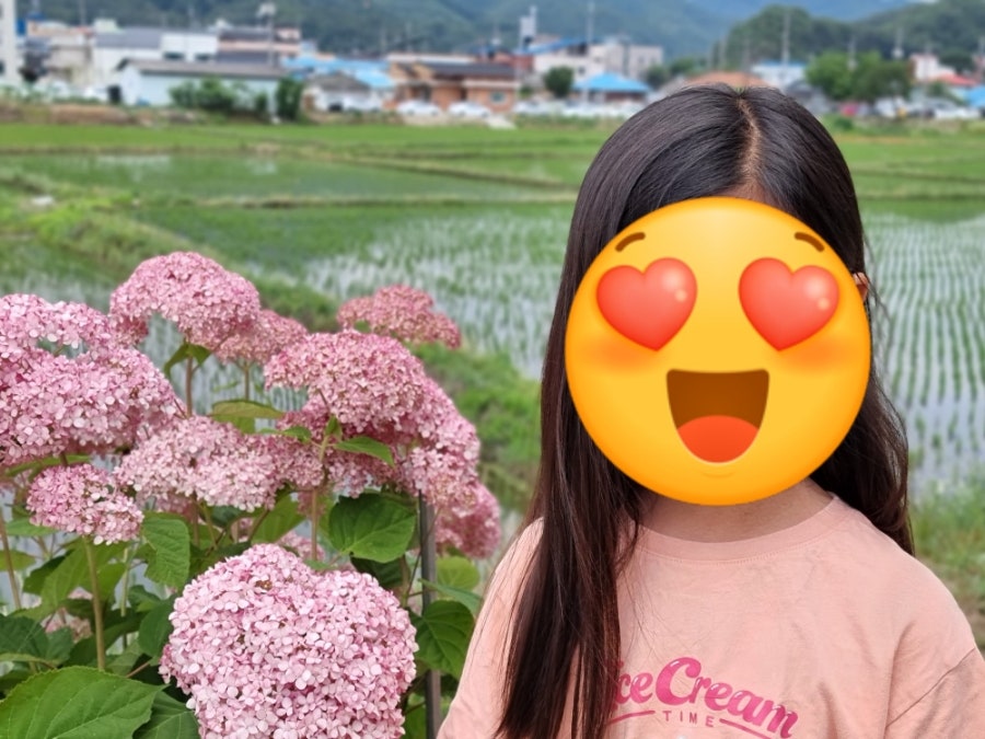 뽀글뽀글닭갈비칼국수 사진 1