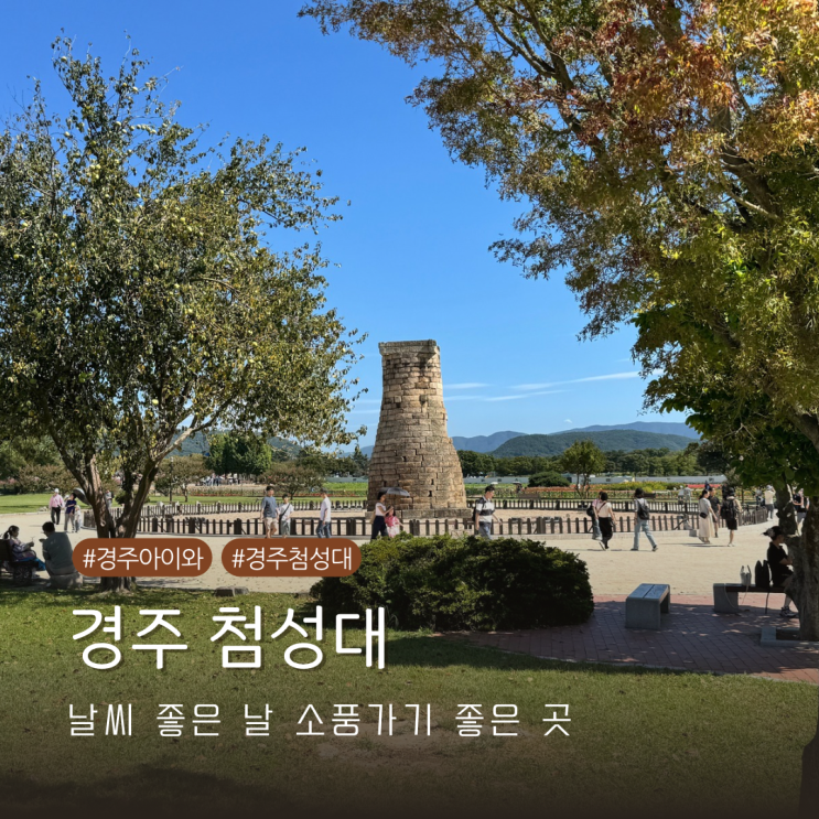  경주 아이와 소풍 가기 좋은 첨성대 방문기