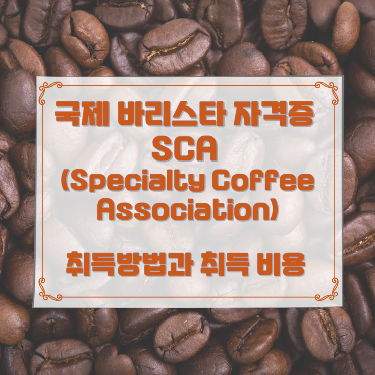 국제 바리스타 자격증 SCA (Specialty Coffee Association)의 취득방법과 취득 비용 국제 바리스타 자격증 SCA (Specialty Coffee Association)의 취득방법과 취득 비용