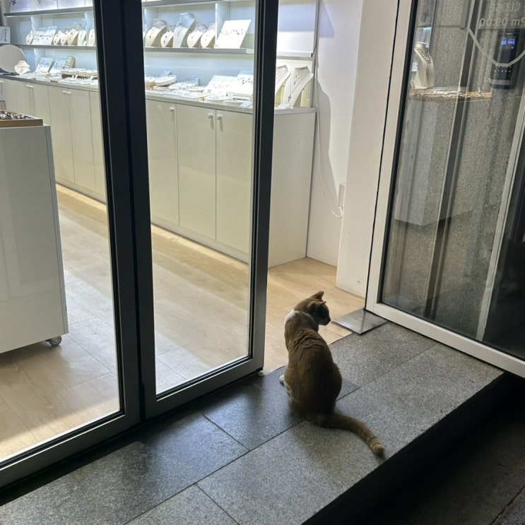  주간 일기 9월 넷째 주 : 일주일 내내 논 거 같은데?