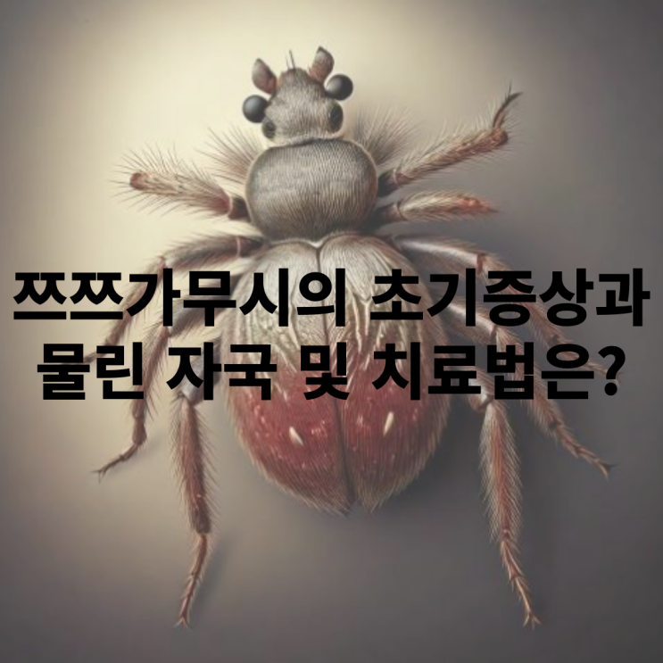  쯔쯔가무시 초기 및 전조증상은 무엇인가?