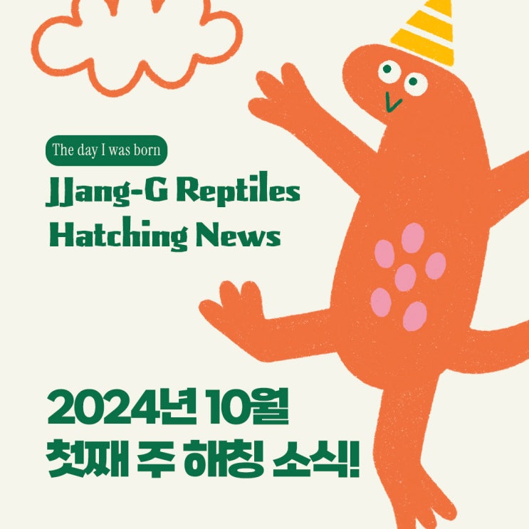  짱지파충류 10월 첫째주 크레스티드 게코 해칭 소식