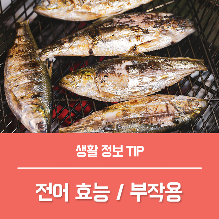  전어 효능 5가지, 전갱이 회 부작용은?