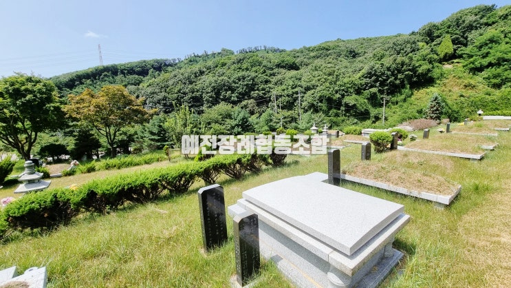  저렴한 매장묘 용인 매장묘 가족묘 최선의 선택