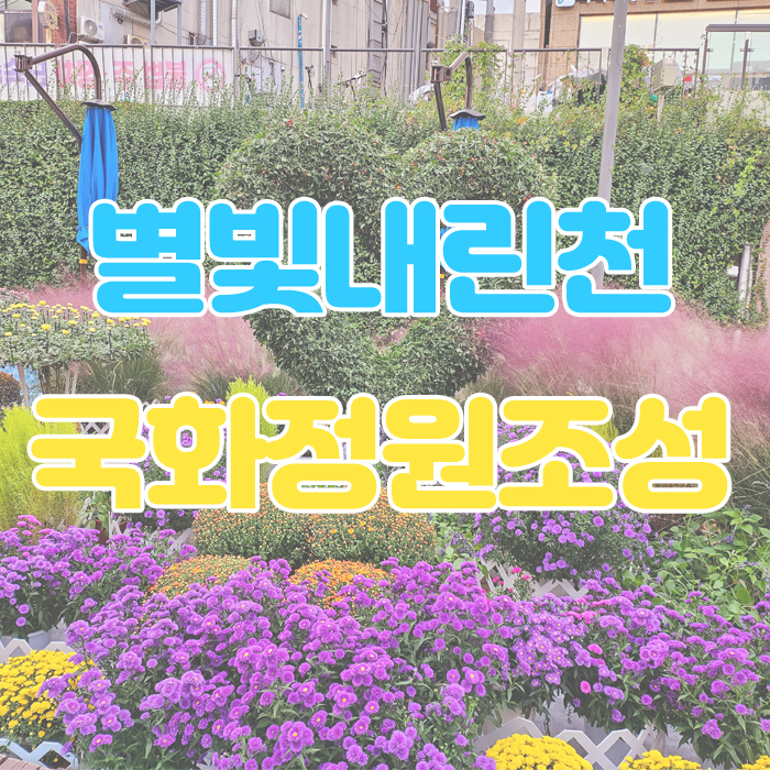 2024 <b>별빛내린천 국화정원조성</b>