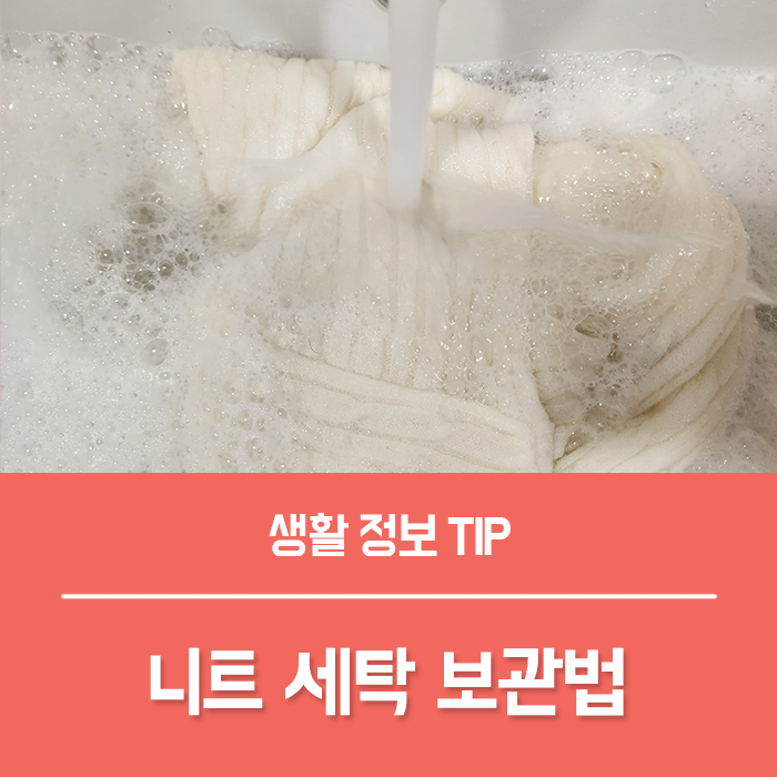  울니트 세탁 빨래 보관법, 줄어든 니트 늘리는법 건조기 니트 세탁기 사용법은?