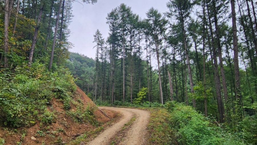 골안골 사진 7