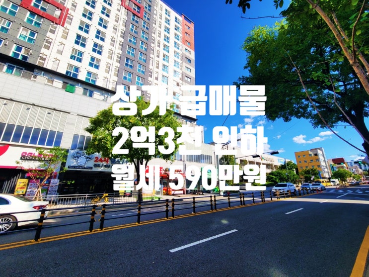  대전 상가 매매 2억3천 인하 월세 590만 원, 수익률 8.57% 경공매보다 저렴합니다