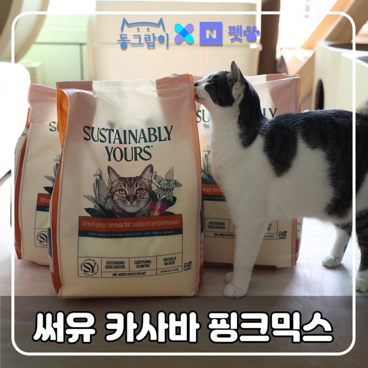  네이버펫 고양이 카사바모래 추천 써유 핑크믹스 최강의 단단함