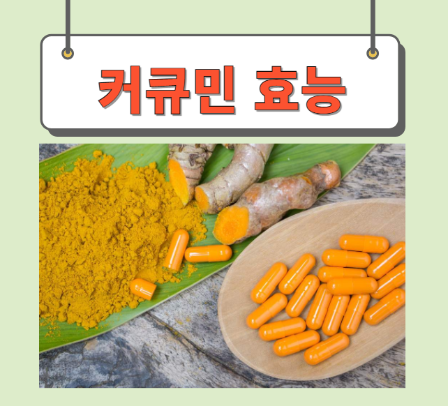  커큐민 효능 부작용 완벽정리