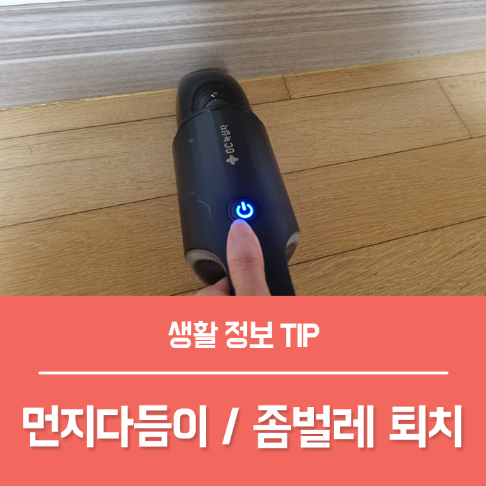  먼지다듬이 좀벌레 퇴치법 베스트 5