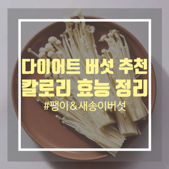팽이버섯 칼로리 새송이버섯 칼로리 버섯 다이어트 알아보기 팽이버섯 칼로리 새송이버섯 칼로리 버섯 다이어트 알아보기