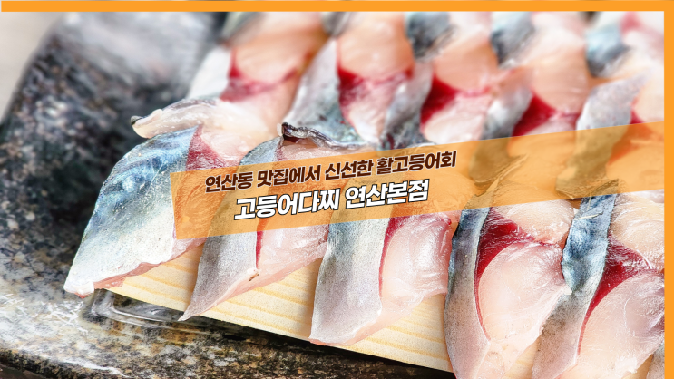  [부산 고등어다찌 연산본점] 연산동 맛집에서 신선한 활고등어회