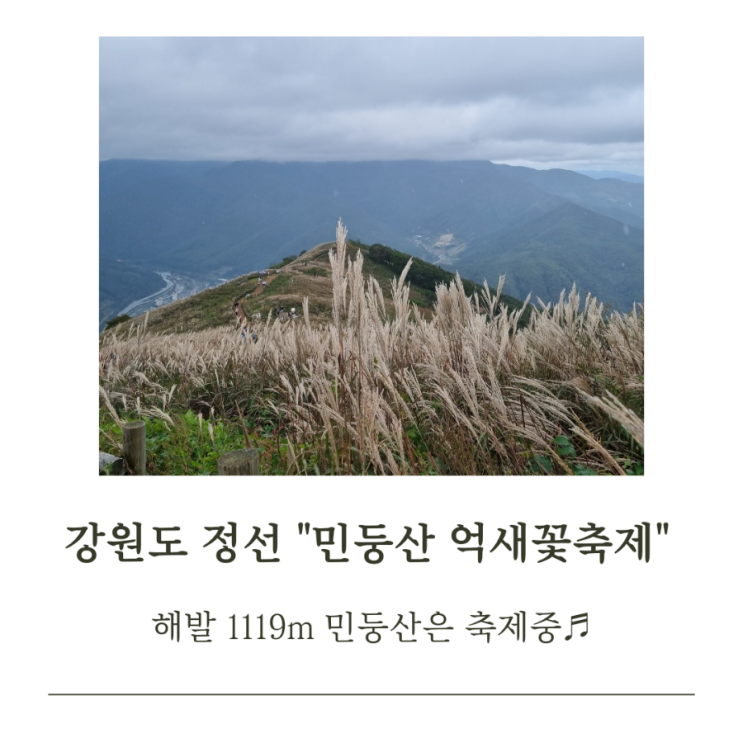 강원도 정선 