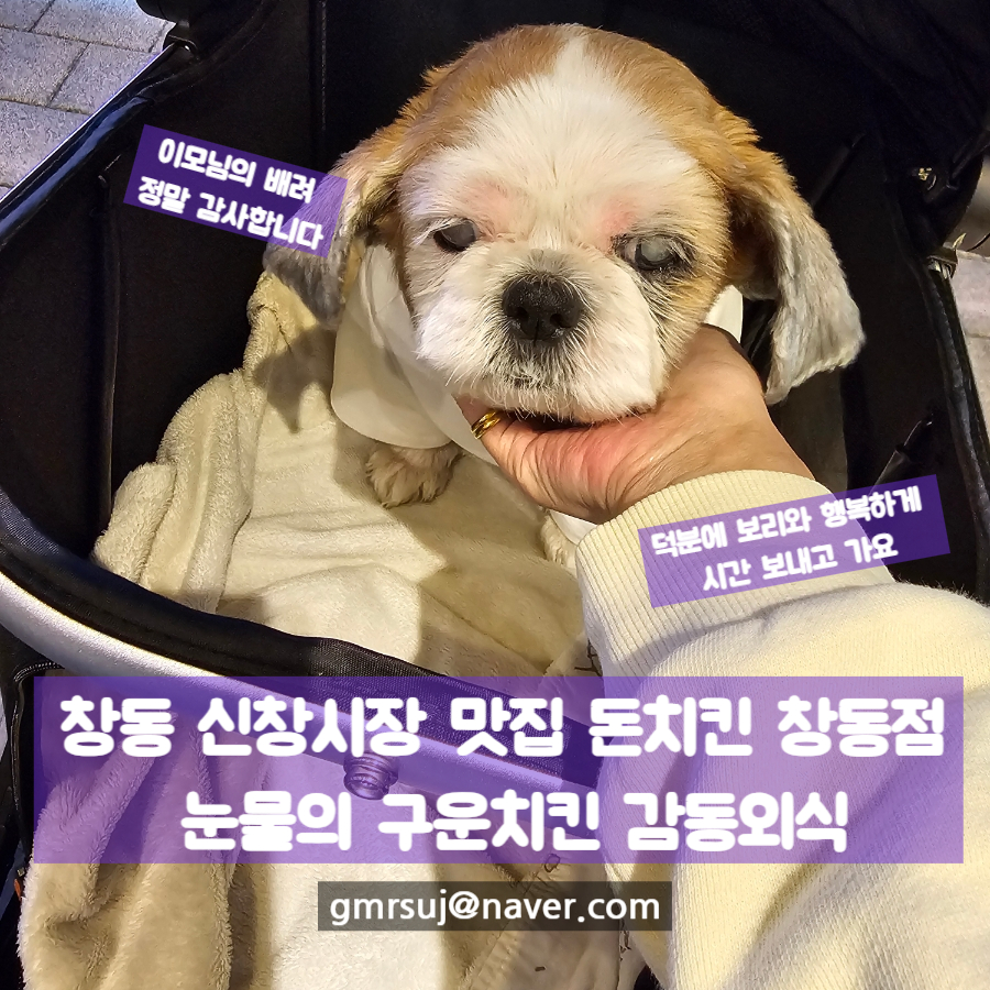 돈치킨 창동점 사진 2