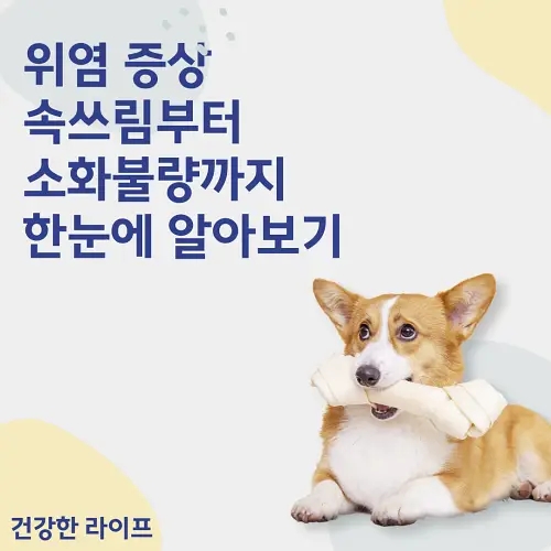  위염 증상, 속쓰림부터 소화불량까지 한눈에 알아보기