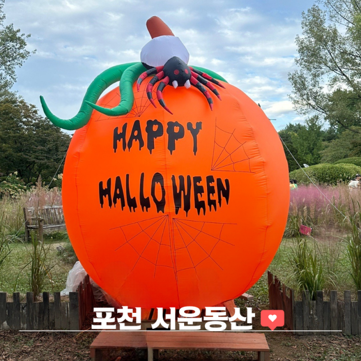  서운동산 할로윈 이벤트 포천 아이랑 갈만한 곳