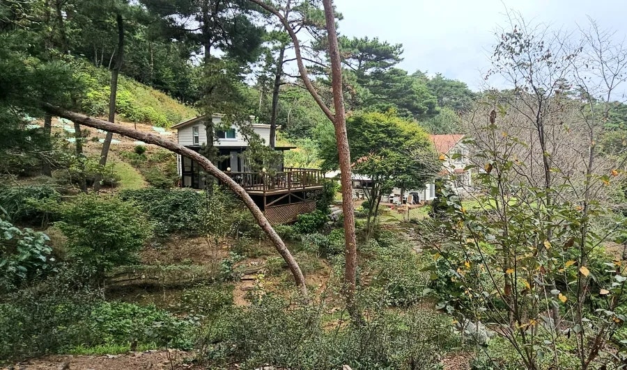 아띠펜션 사진 1