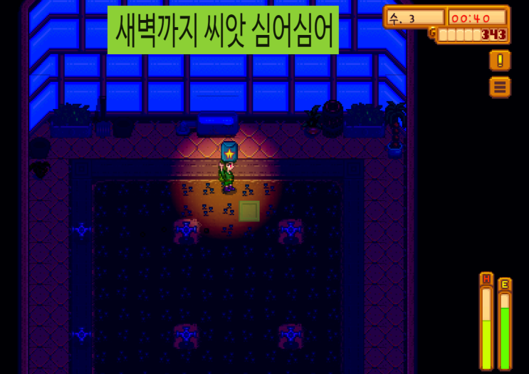  D+17 스타듀밸리 모바일 3년차 여름 | 온실에 스타푸르 씨앗 심기