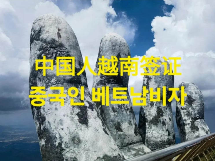  중국인 베트남비자 - 中国人越南签证