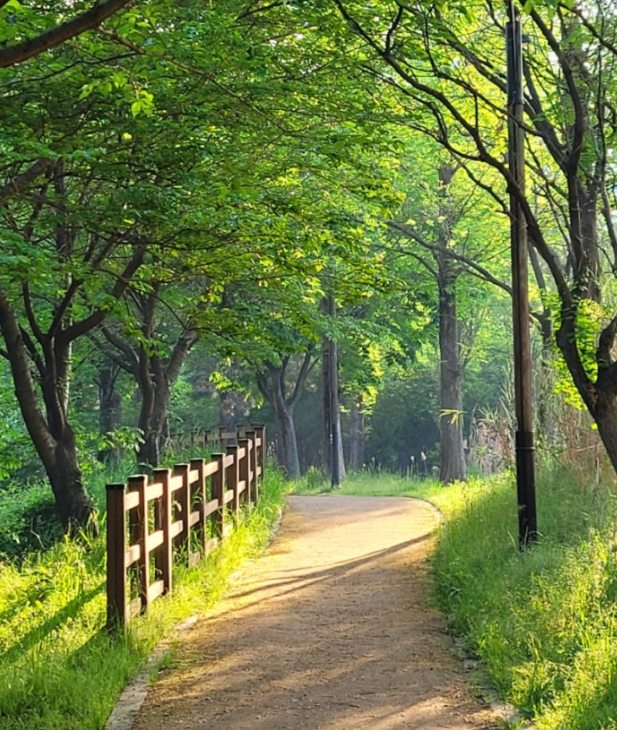  일이 잘 안 풀릴 때, 일이 하기 싫을 때, 아이디어가 떠오르지 않을 때는 산책을 하면서 사색을 해보자.