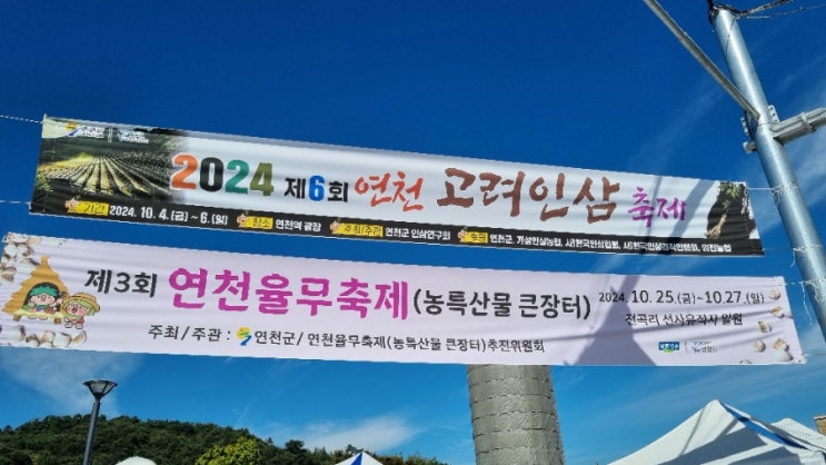  인삼축제 연천 고려인삼축제 6년근인삼구입