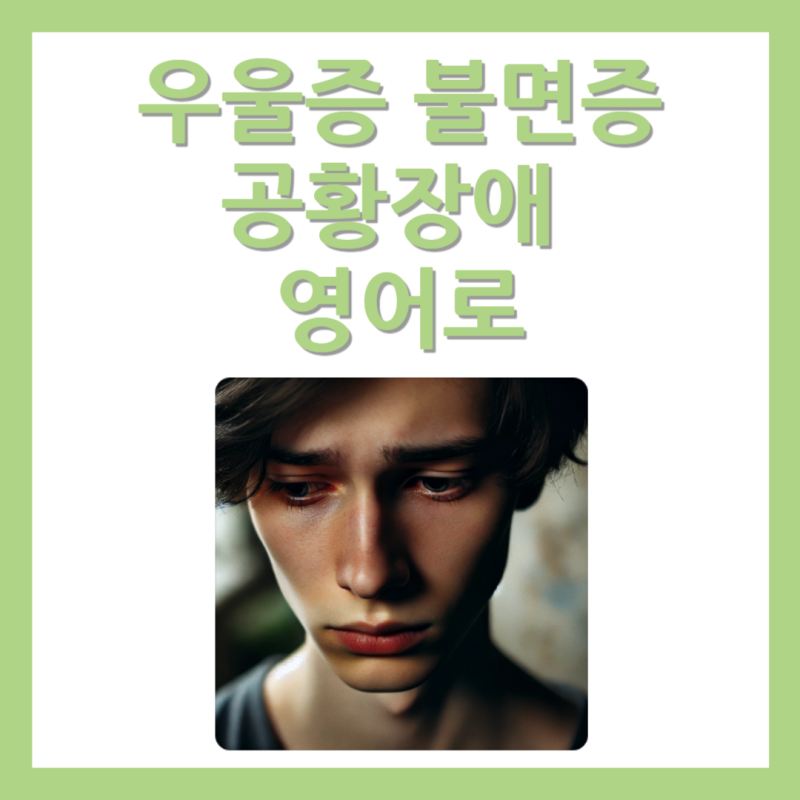 우울증 / 불면증 / 공황장애 / ptsd 뜻 영어로