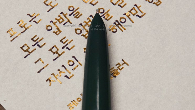 프로의 자세 (파카 51 빈티지 만년필로 필사하기)