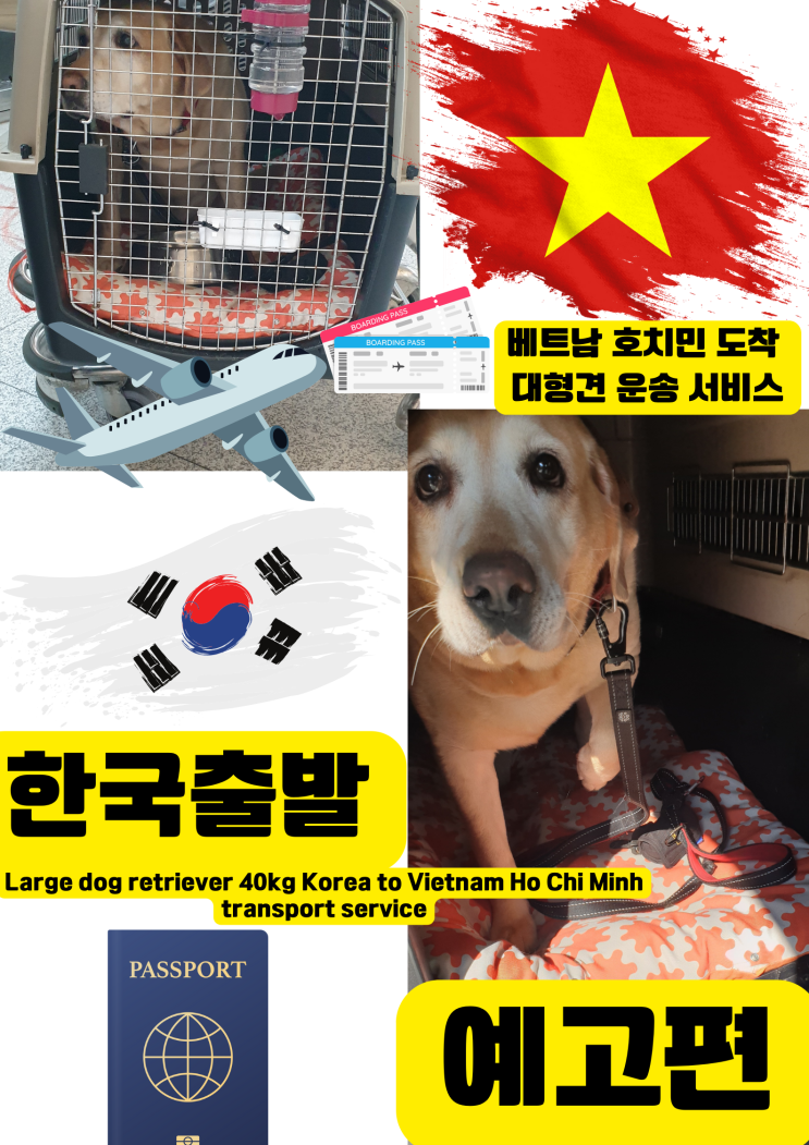  리트리버 대형견 강아지 반려동물 해외운송 해외 출국 동물검역 반려견 반려묘 출국 서류 해외 검역 [예고편]
