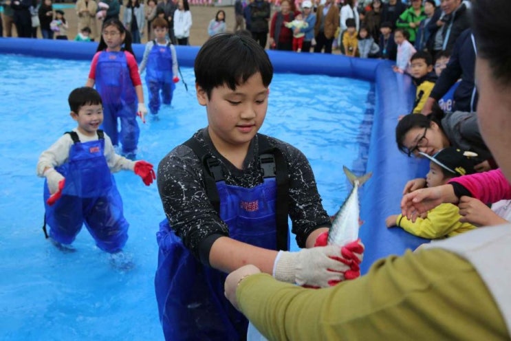  2024 제주광어대축제 기본정보