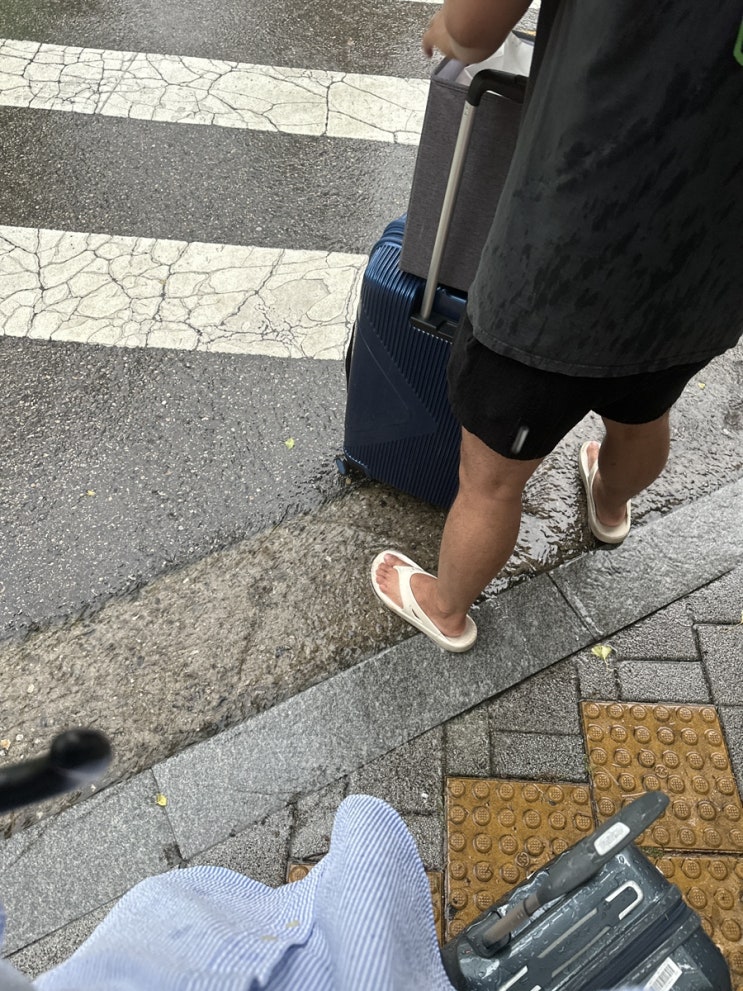  가는 날이 장날이다