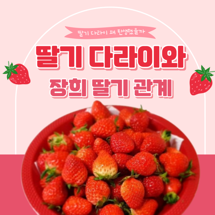  빨간색 다라이와 장희 딸기의 관계
