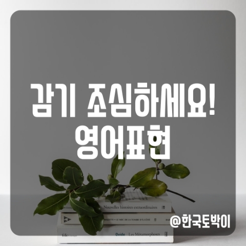  감기에 걸리다 감기 조심하세요 영어로 (cold)