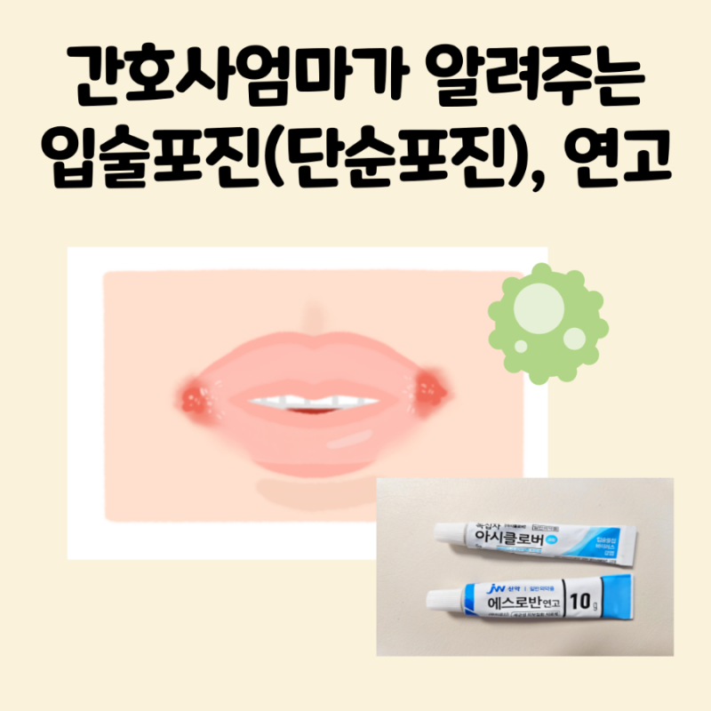 입술포진 연고 에스로반 아시클로버