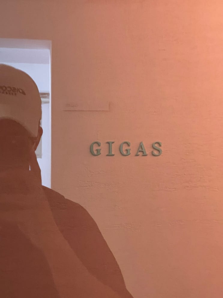  싱그러운 지중해식을 느낄 수 있었던 식당, 기가스(GIGAS)