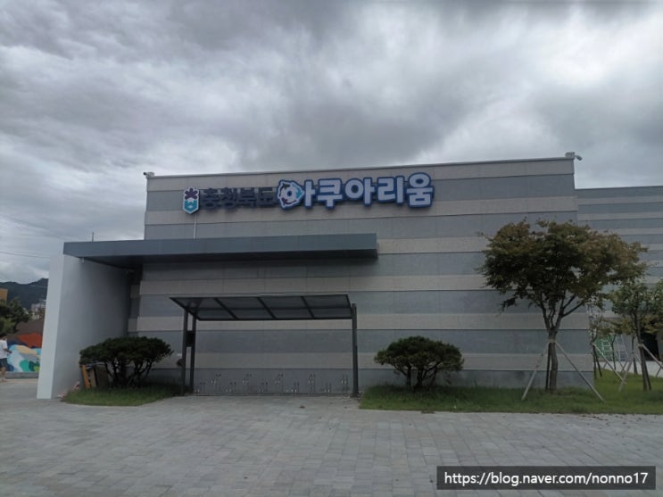  괴산 충북아쿠아리움 아이랑 가볼만한곳 무료 관람 후기