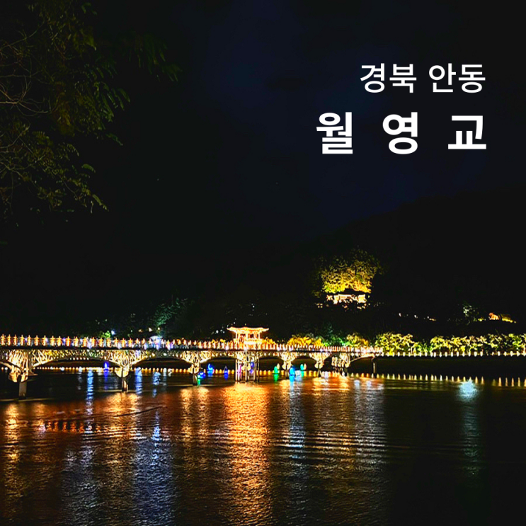 경북 안동 월영교 야경 명소 시간 주차 분수