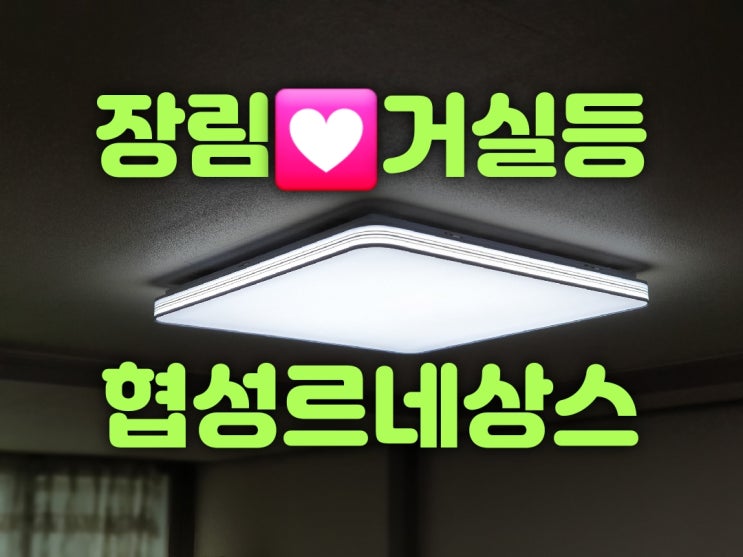  [대광전기조명LED] 부산 사하구 장림동 장림협성르네상스타운아파트 306동 거실등 120W 욕실등 방습형 15W 스위치 조명 설치 LED 교체 가게