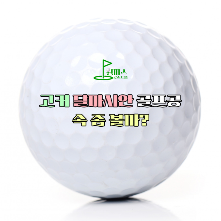  고커 달마시안 골프공 속 좀 볼까?