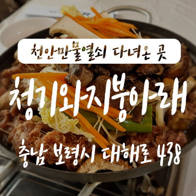  대천 보령 맛집 능이버섯불고기전골 청기와지붕아래 보양식 추천