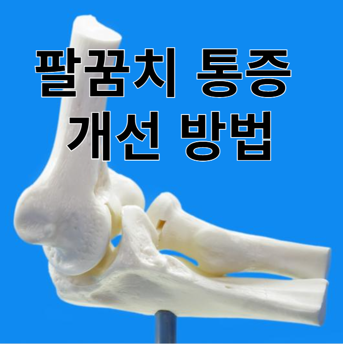 팔꿈치 통증 때문에 써본 온마디 하파고크림 한달후기