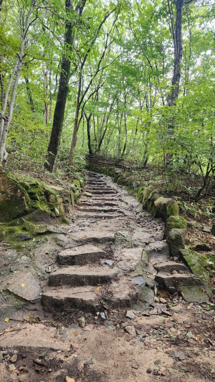  신불산 백패킹