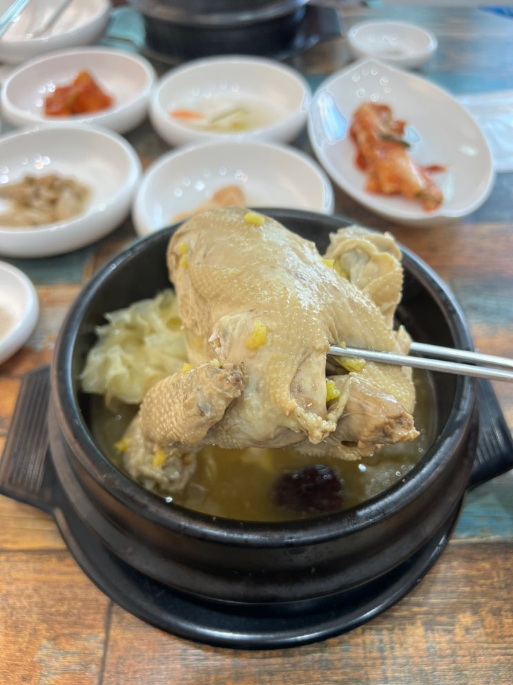  노형동 삼계탕 맛집 주선황칠삼계탕