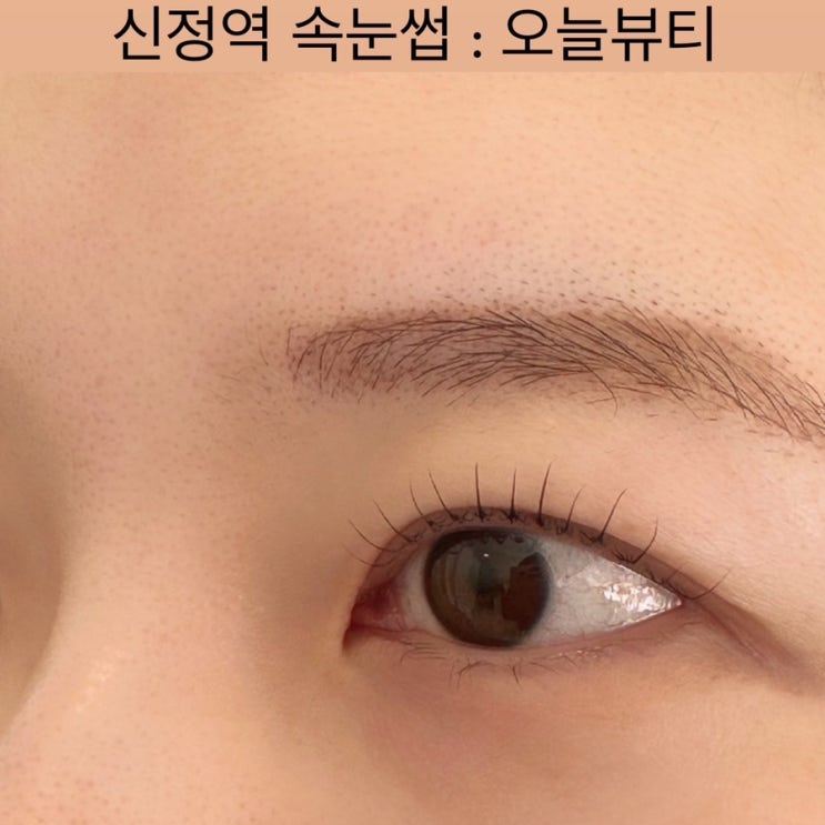  신정역 속눈썹 [오늘뷰티] - 목동 속눈썹 펌, 목동 눈썹 문신