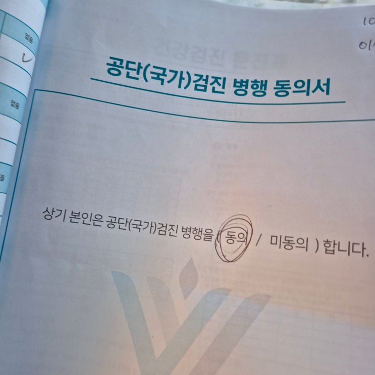  [포토 덤프] 건강검진을 앞둔 지금, 가장 먹고 싶은 것들
