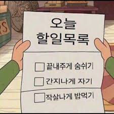   호주 워홀 출국 전 체크리스트 
