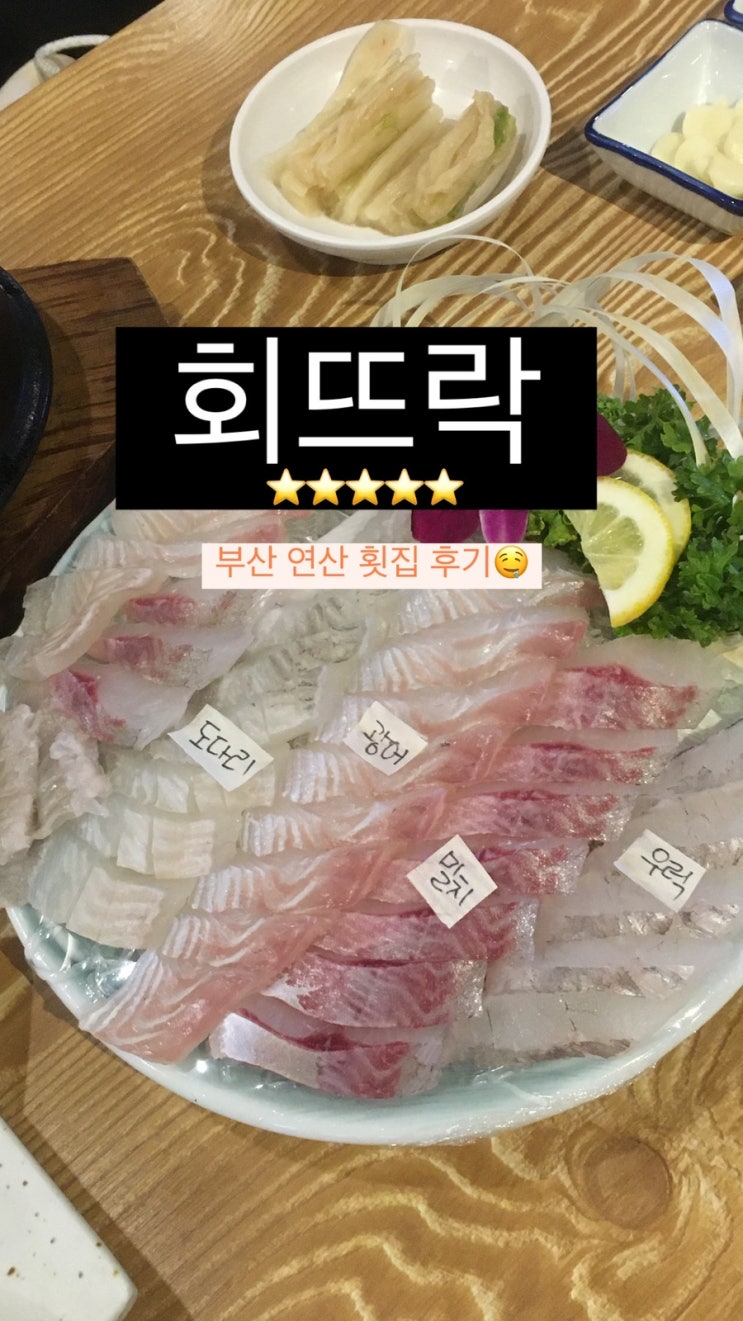  부산 현지인이 추천하는 횟집 연산동 회뜨락