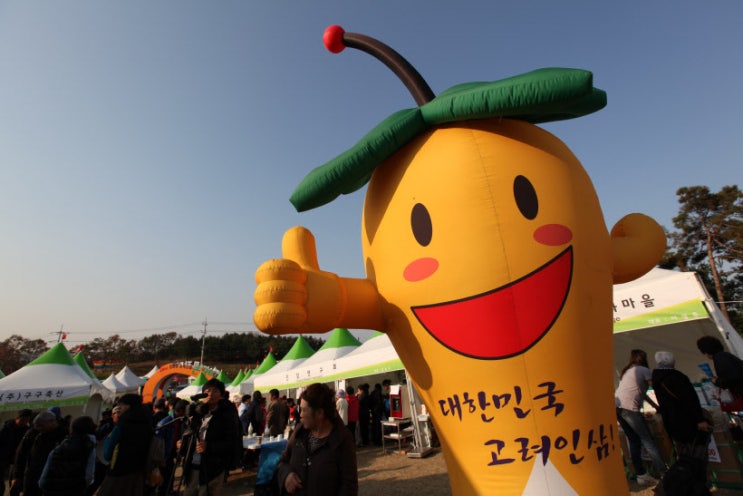  2024 연천고려인삼축제 기본정보 I 연천역 광장