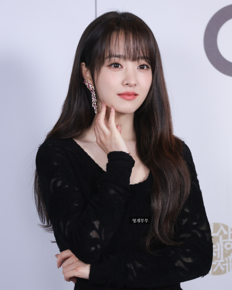  박보영 부산국제영화제 세련된 블랙 시스루 드레스 어떤거?